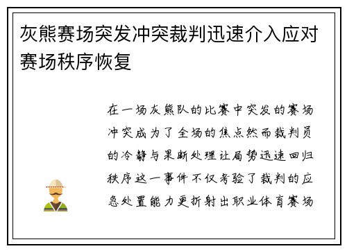 灰熊赛场突发冲突裁判迅速介入应对赛场秩序恢复